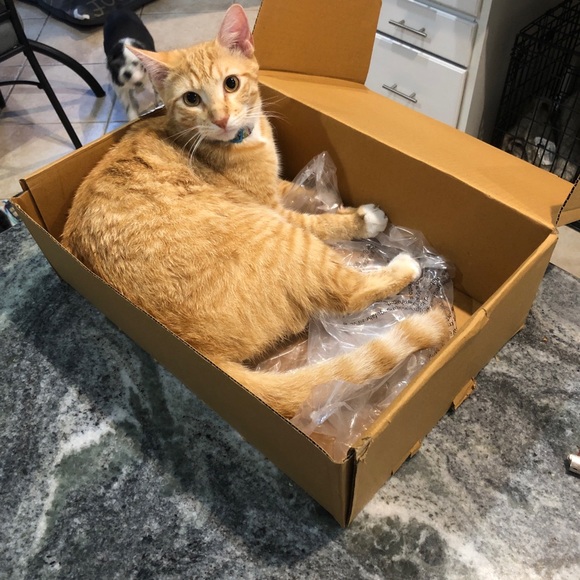 Meet your Posher, Michelle - Picture 1 of 2